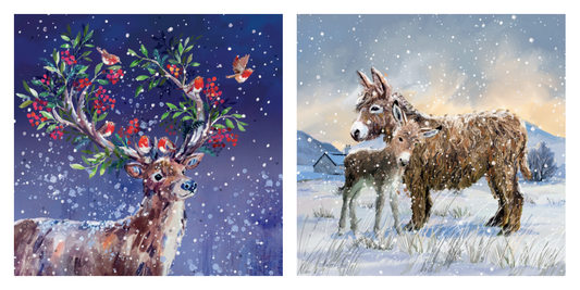 Mare And Foal / Festive Deer Charity Christmas Cards 10 Pack Twin Pack