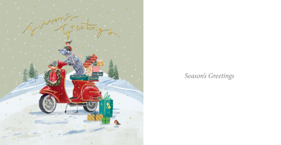 Christmas Delivery Twin Pack 10 Charity Christmas Cards