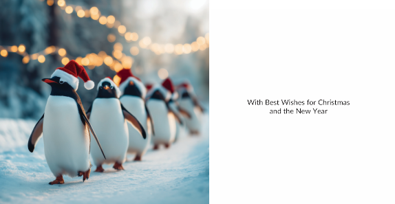 Penguins Twin Pack 10 Charity Christmas Cards