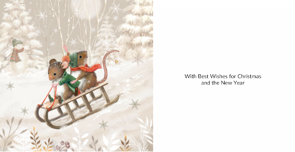 Mice Twin Pack 10 Charity Christmas Cards