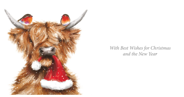 Together At Christmas Highland Cows 10 twin pack Charity Christmas Cards