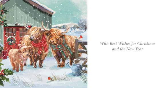 Together At Christmas Highland Cows 10 twin pack Charity Christmas Cards