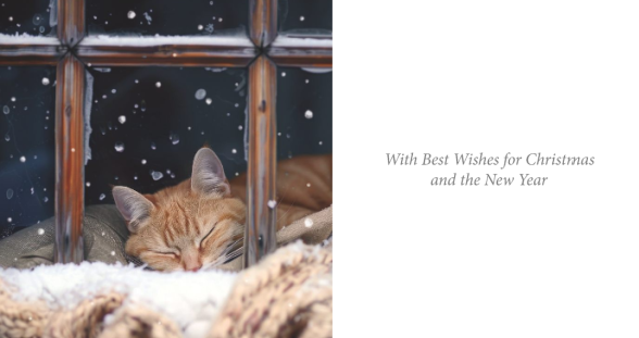 Sleeping Cat & Feline Friends Twin Pack 10 Charity Christmas Cards