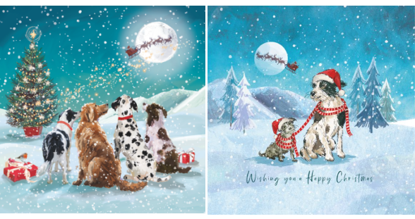 I'll Keep you warm & Watching Santa Twin Pack 10 Charity Christmas Cards