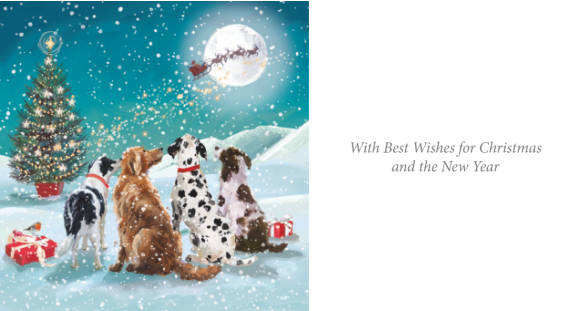 I'll Keep you warm & Watching Santa Twin Pack 10 Charity Christmas Cards