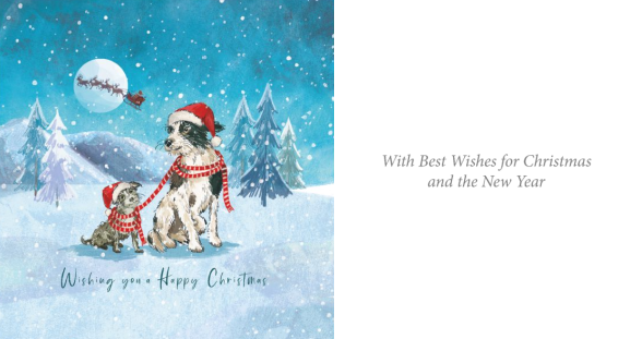 I'll Keep you warm & Watching Santa Twin Pack 10 Charity Christmas Cards