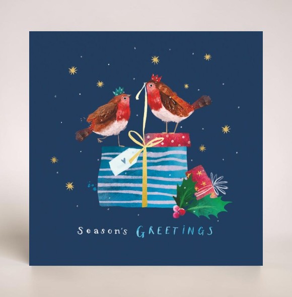 Dotty Robin and Tied with a Bow 10 twin pack Charity Christmas Cards