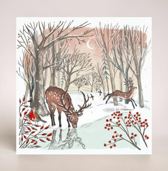 In The Garden & Woodland Stags 10 twinpack Charity Christmas Cards