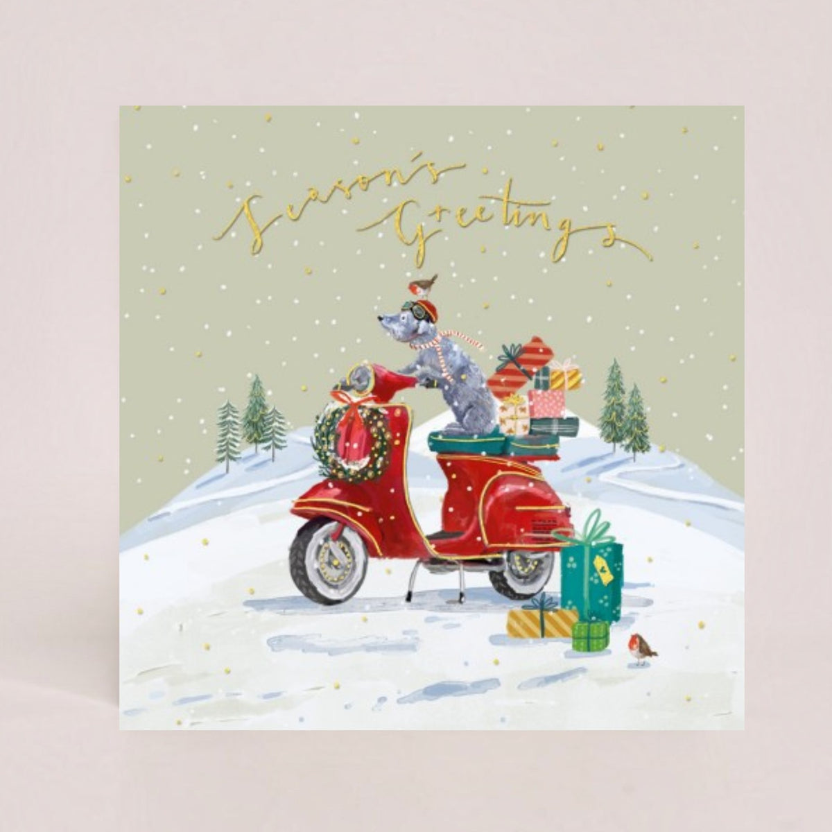 Christmas Delivery Twin Pack 10 Charity Christmas Cards