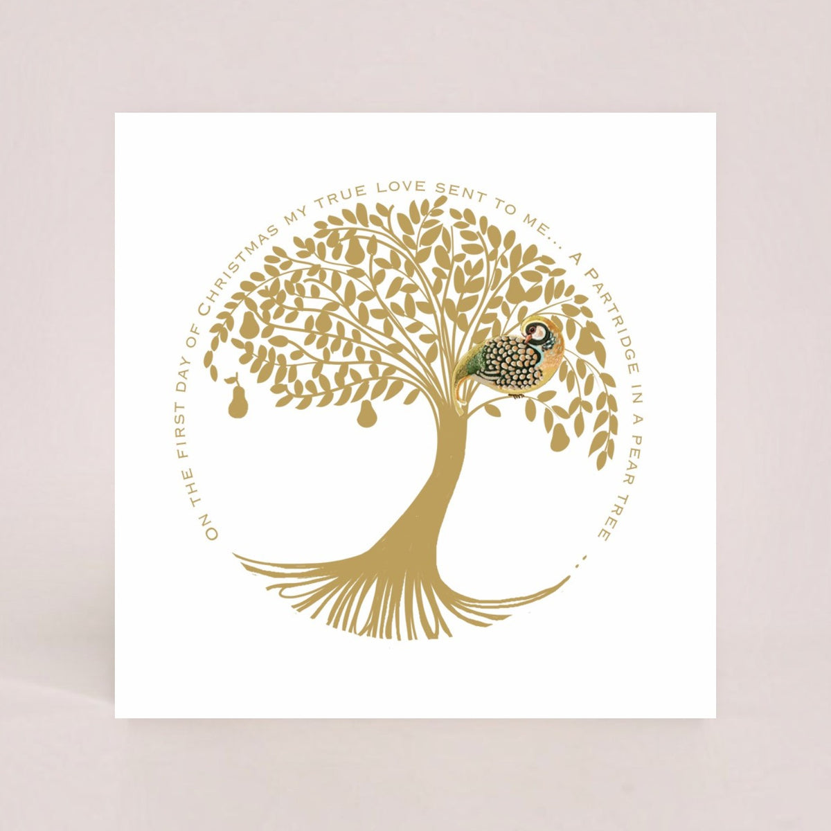 On the First Day of Christmas 10 Charity Christmas Cards