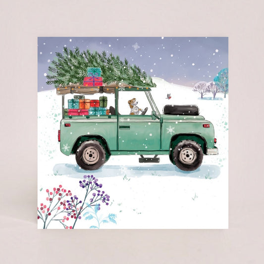 Christmas Delivery Twin Pack 10 Charity Christmas Cards