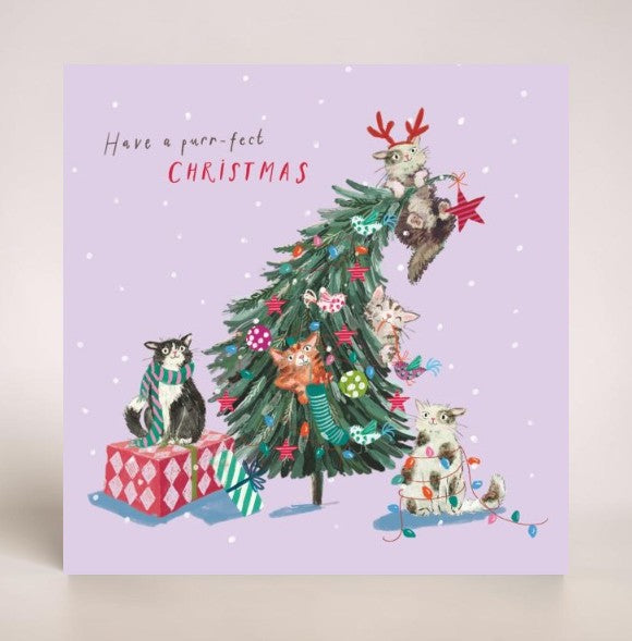 Puurr-fect Christmas Cats on The Tree 10 Charity Christmas Cards
