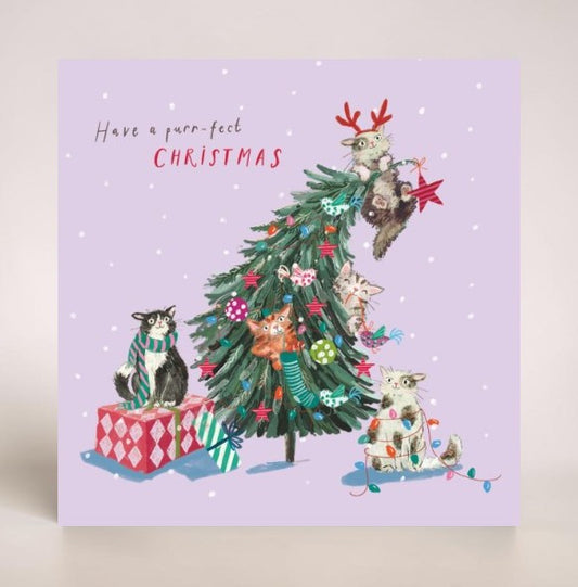 Puurr-fect Christmas Cats on The Tree 10 Charity Christmas Cards