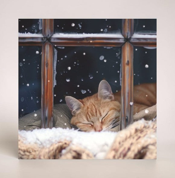 Sleeping Cat & Feline Friends Twin Pack 10 Charity Christmas Cards