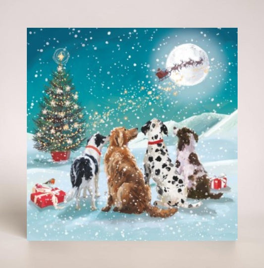 I'll Keep you warm & Watching Santa Twin Pack 10 Charity Christmas Cards