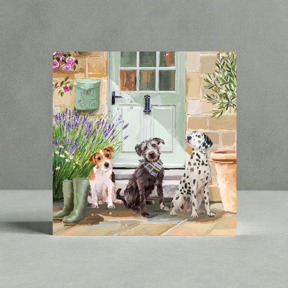 Dogs Dalmatian Jack Russell Lurcher Charity Greeting Card